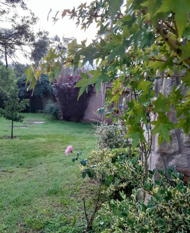 Cabanas Farah Estancia Vieja Ideal Para 2 A 3 Huespedes فيلا كارلوس باز المظهر الخارجي الصورة