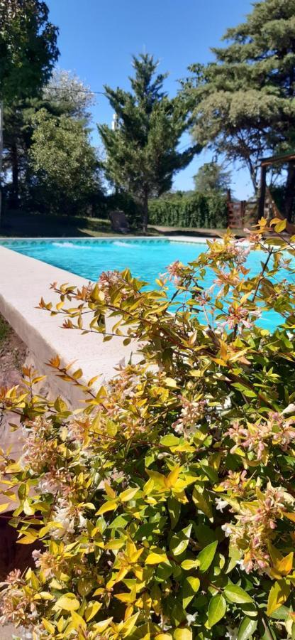 Cabanas Farah Estancia Vieja Ideal Para 2 A 3 Huespedes فيلا كارلوس باز المظهر الخارجي الصورة