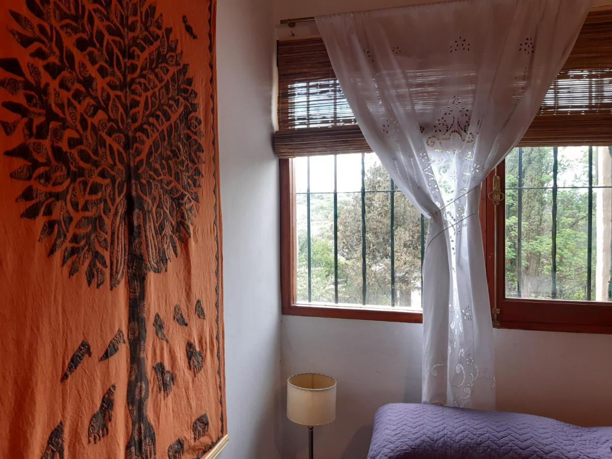 Cabanas Farah Estancia Vieja Ideal Para 2 A 3 Huespedes فيلا كارلوس باز المظهر الخارجي الصورة