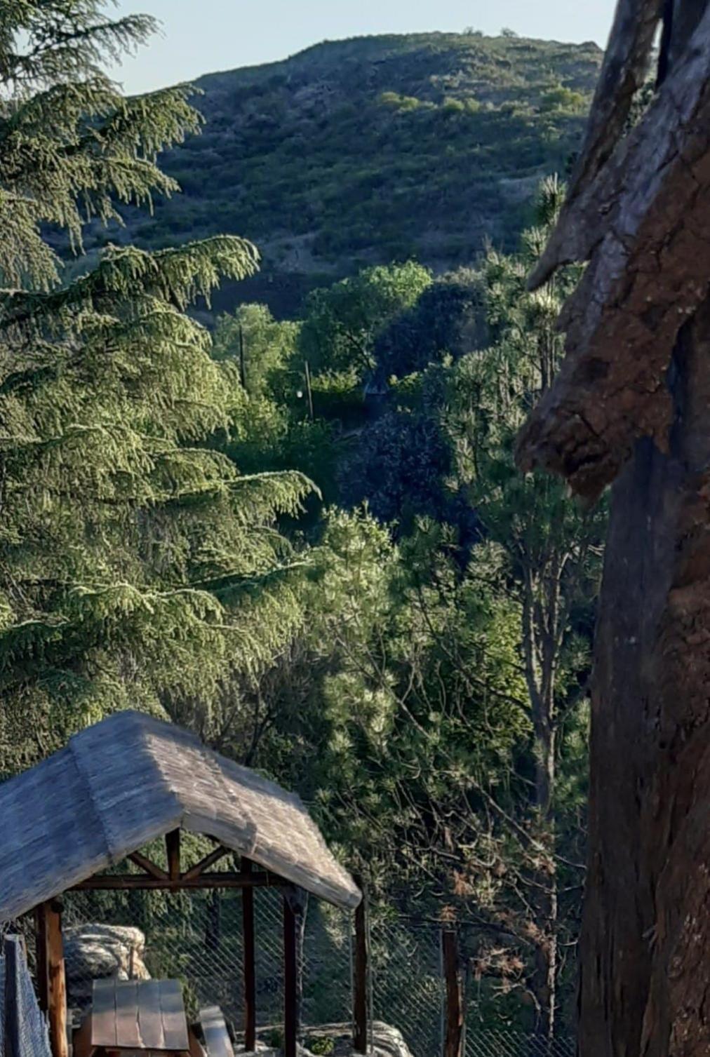 Cabanas Farah Estancia Vieja Ideal Para 2 A 3 Huespedes فيلا كارلوس باز الغرفة الصورة