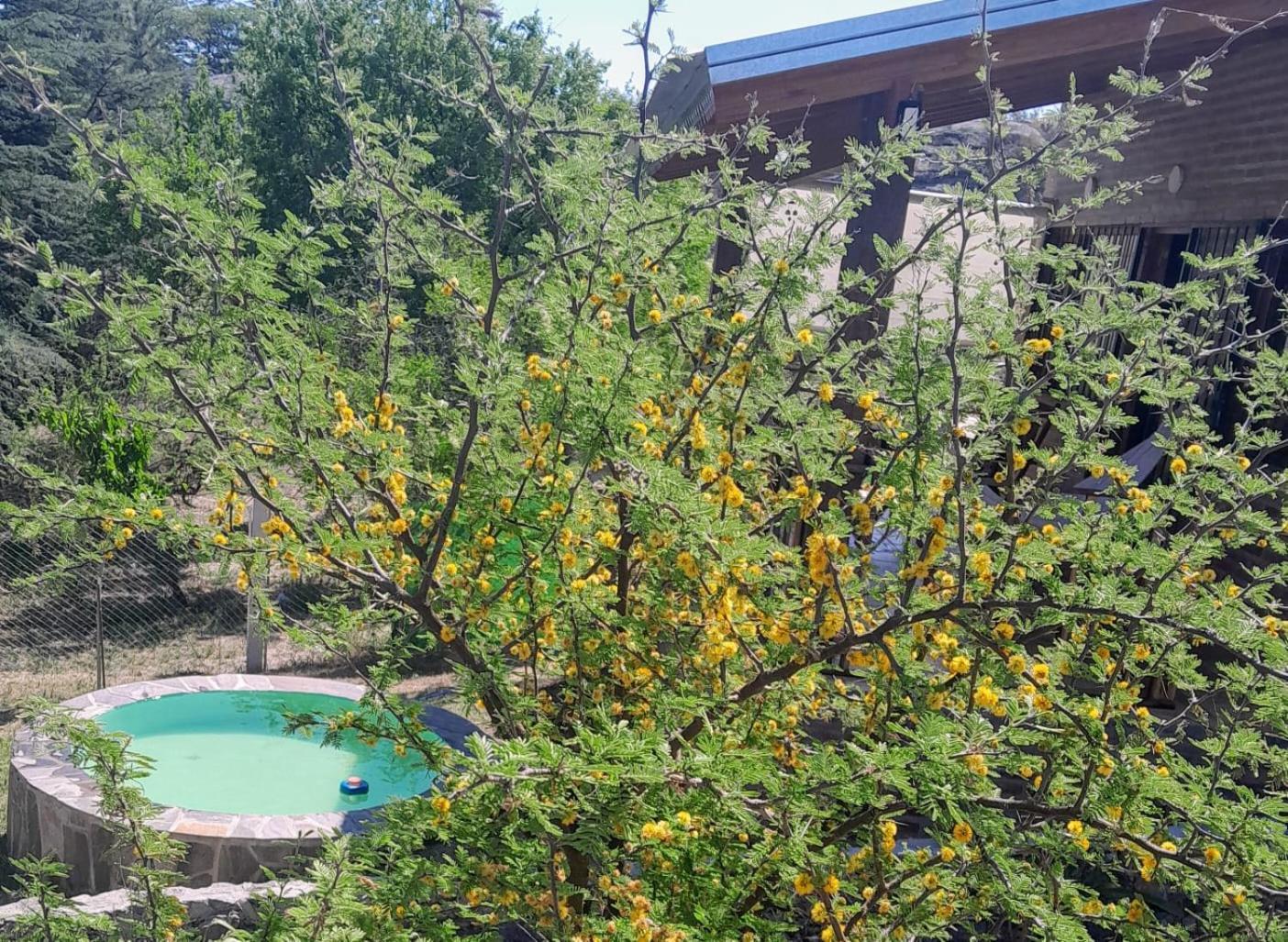 Cabanas Farah Estancia Vieja Ideal Para 2 A 3 Huespedes فيلا كارلوس باز الغرفة الصورة